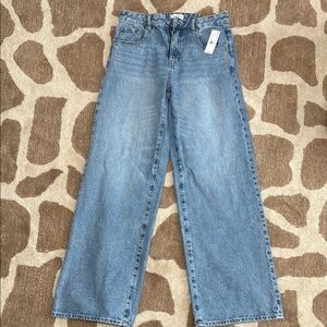 PacSun Jessie High Rise Baggy Jeans